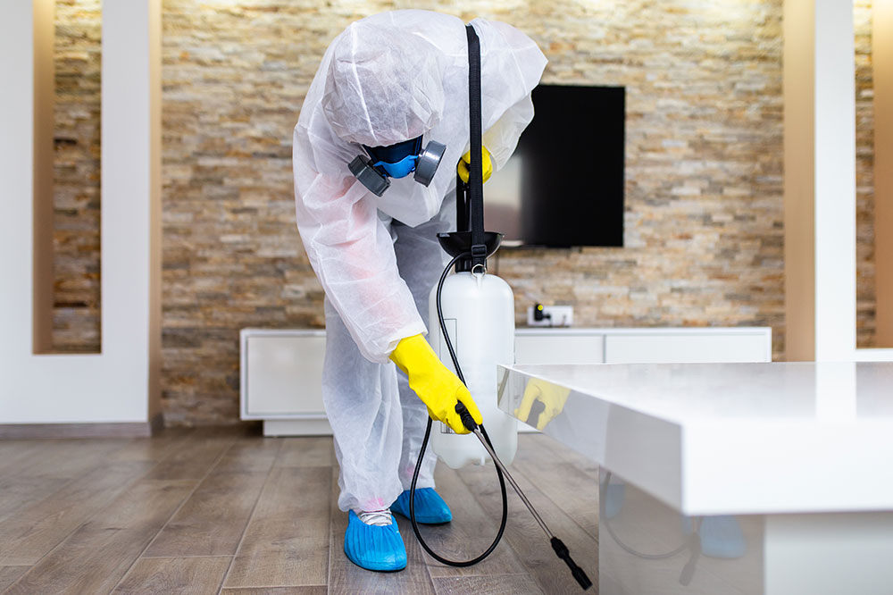 Types, benefits, and costs of pest control