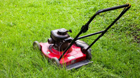 Lawn care &#8211; Basic tips, best brands, and costs