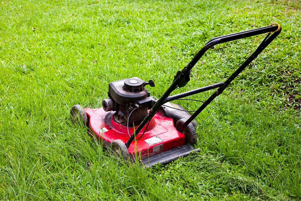 Lawn care &#8211; Basic tips, best brands, and costs