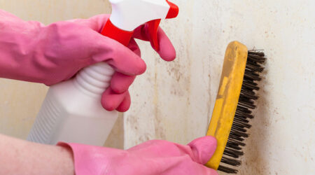 Tips to prevent and manage mold growth