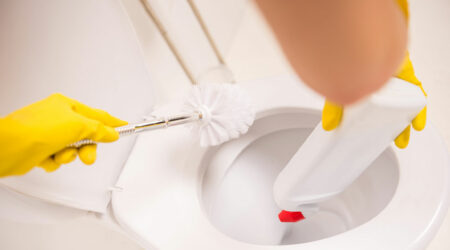 Top 3 cruelty-free toilet stain removers