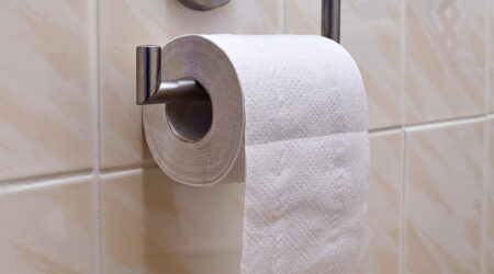 4 common types of toilet roll holders