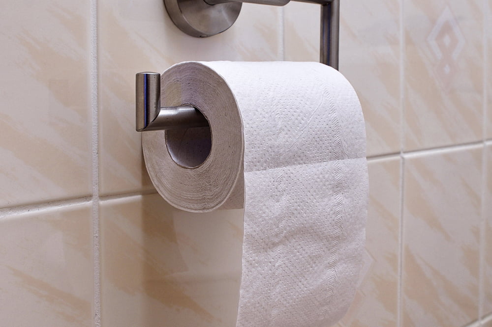 4 common types of toilet roll holders