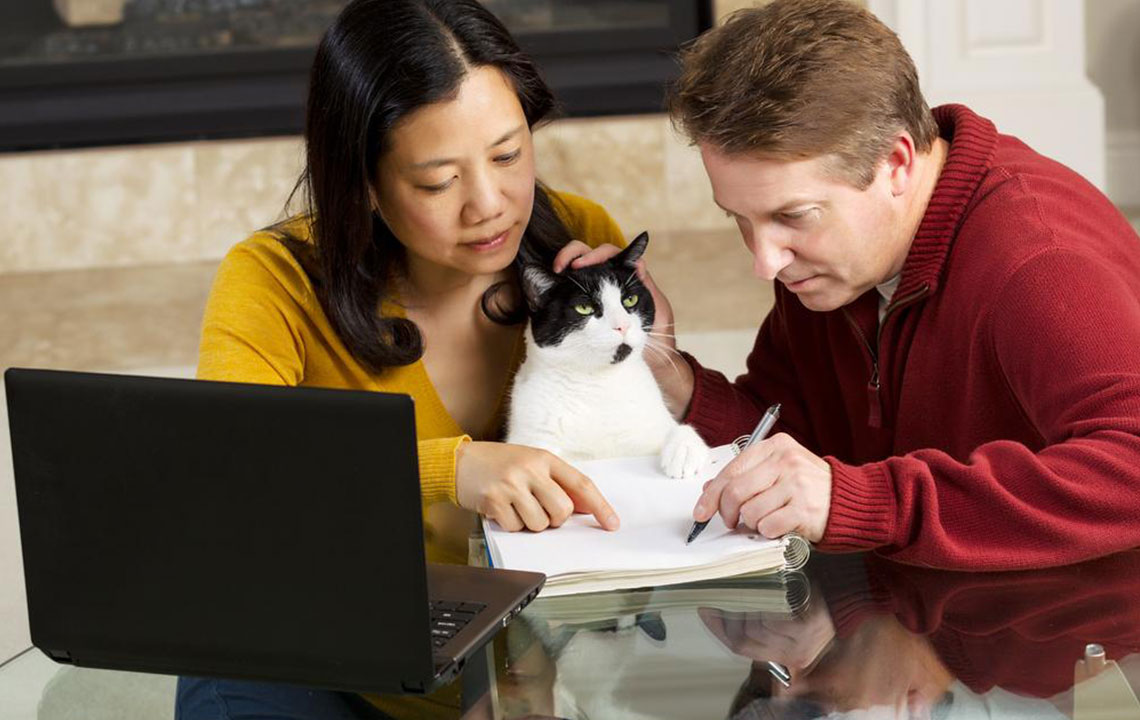 Things you should know about pet insurance