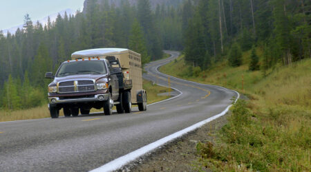 Toyota RAV4 – The right choice for any adventure