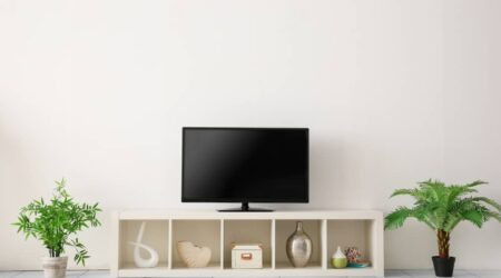 Common types of entertainment centers and TV stands