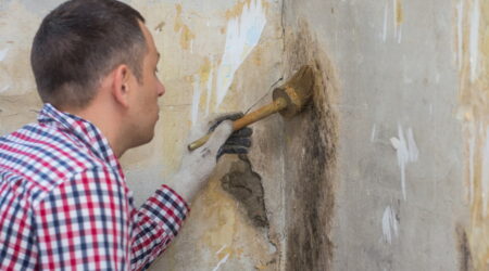 Mold removal &#8211; What it entails, companies, and products