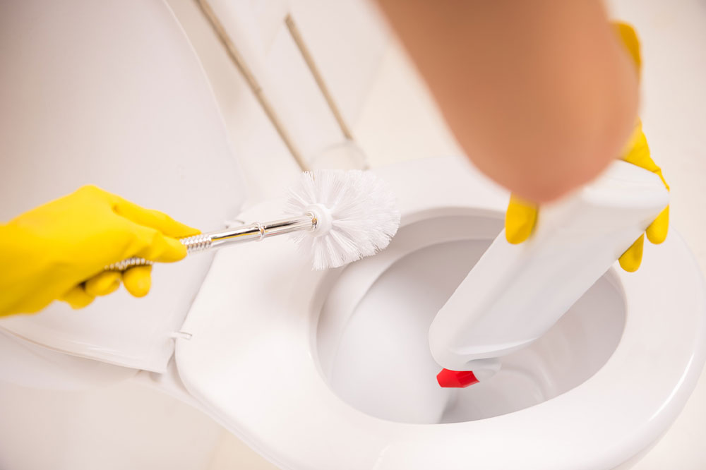 Top 3 cruelty-free toilet stain removers