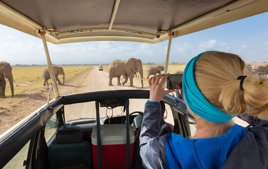 3 African safaris that will offer the best adventure